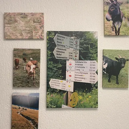 Mimi By Interhome Сasa de vacaciones Schönwalde